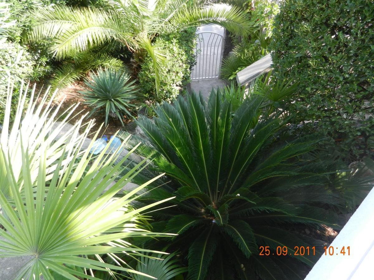 Apartments Sino More Tivat Dış mekan fotoğraf